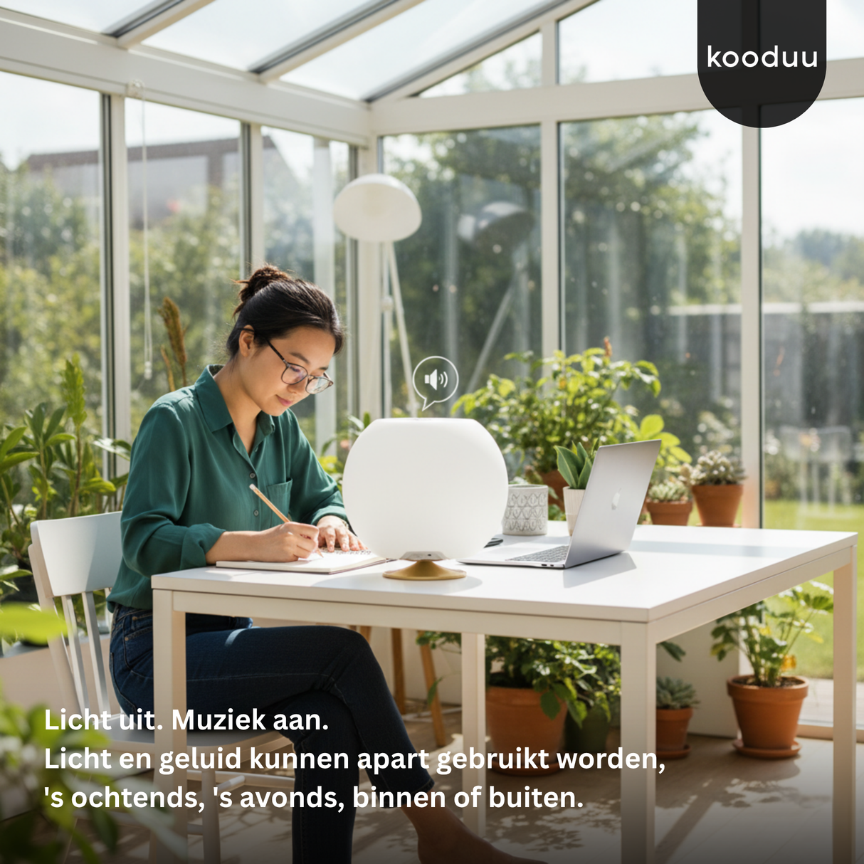 Person working at a desk with a lamp and laptop in a bright room with plants