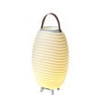 Kooduu Synergy 50 LED-lamp, Bluetooth-speaker en wijnkoeler – brandende dimbare lamp met leren handvat