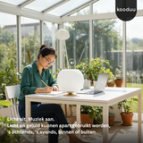 Person working at a desk with a lamp and laptop in a bright room with plants