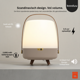 Kooduu speaker lamp with JBL sound quality on a gray background