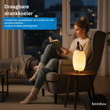 Woman reading a book in a cozy living room with a portable drink cooler.