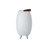 Kooduu Synergy 35: Compacte LED Lamp, Bluetooth Speaker én Wijnkoeler in één