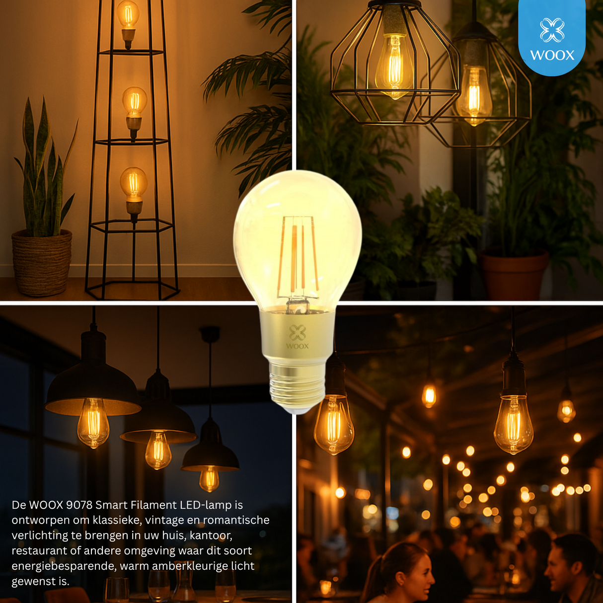 Collage of LED bulbs in various settings with WOOX logo.