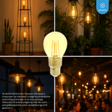 Collage of LED bulbs in various settings with WOOX logo.