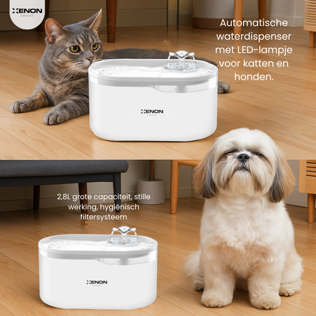 XENON automatic water dispenser for cats and dogs on a wooden floor with a cat and dog around.