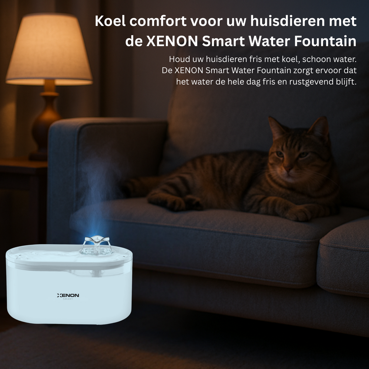 XENON Smart Water Fountain with a cat on a couch in a dimly lit room and some features of it