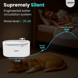 Xenon water fountain with a cat and person sleeping, highlighting its silent operation.
